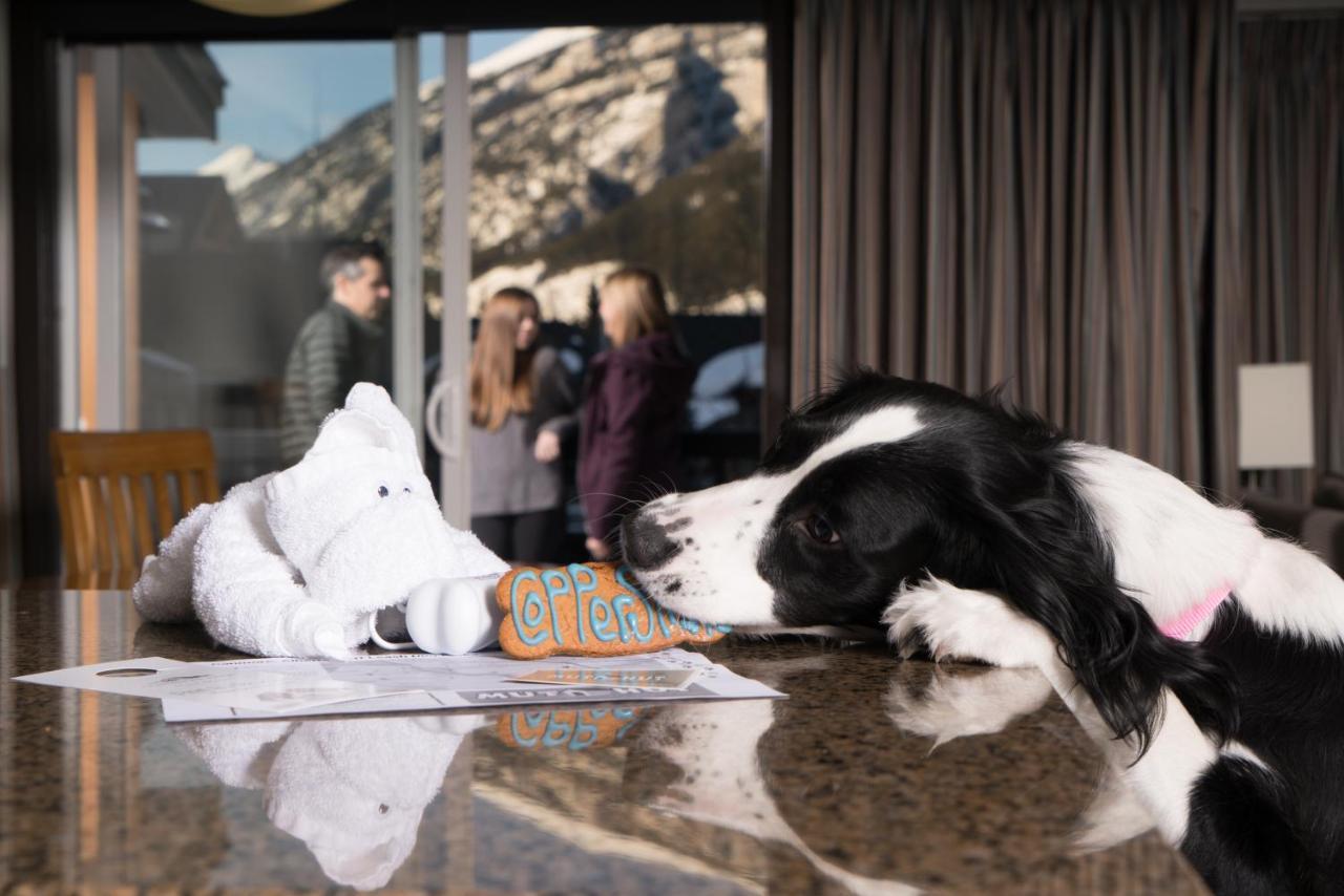 Copperstone Resort By Clique Canmore Kültér fotó